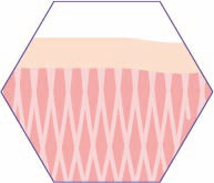 CRISTAL Skin Hautspannung wiederhergestellt CRISTAL Skin Hautspannung wiederhergestellt